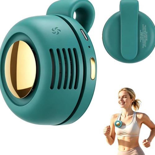 Small clip fan - small,